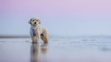 Varusteet jokaiseen yhteiseen seikkailuun